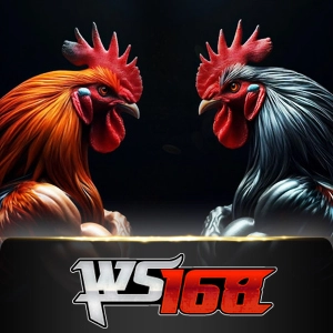 ws168 - csplay168